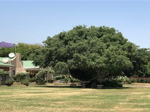 21.4 ha Farm in Zesfontein AH