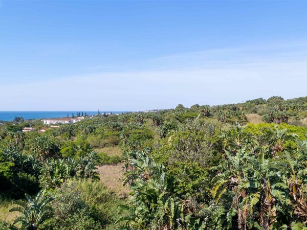 521 m² Land available in Shelly Beach