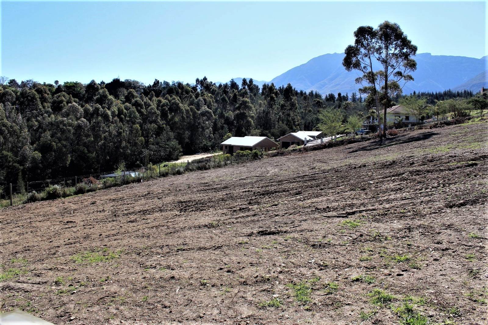 808 m² Land available in Swellendam photo number 3