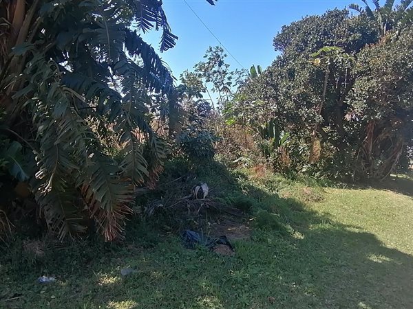 1550 m² Land available in Port Edward