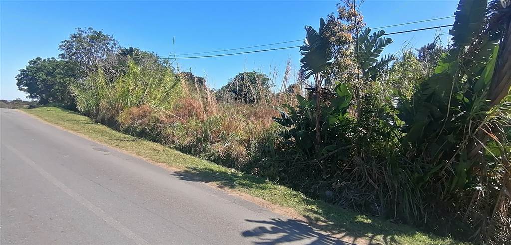 1550 m² Land available in Port Edward photo number 7