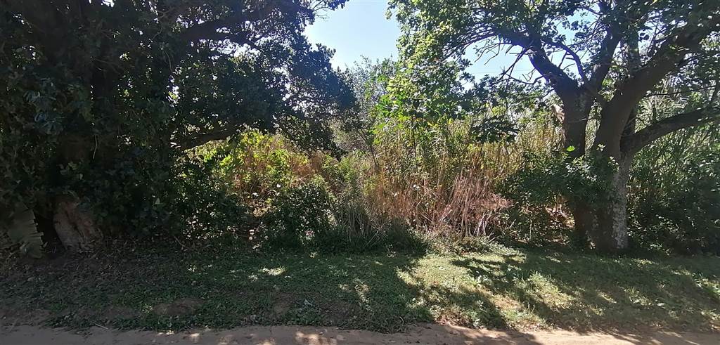 1550 m² Land available in Port Edward photo number 2