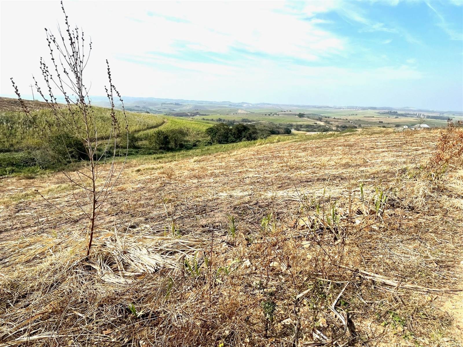 2 ha Land available in Ballito photo number 6