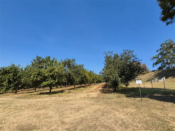 66 ha Farm 66 ha Farm
