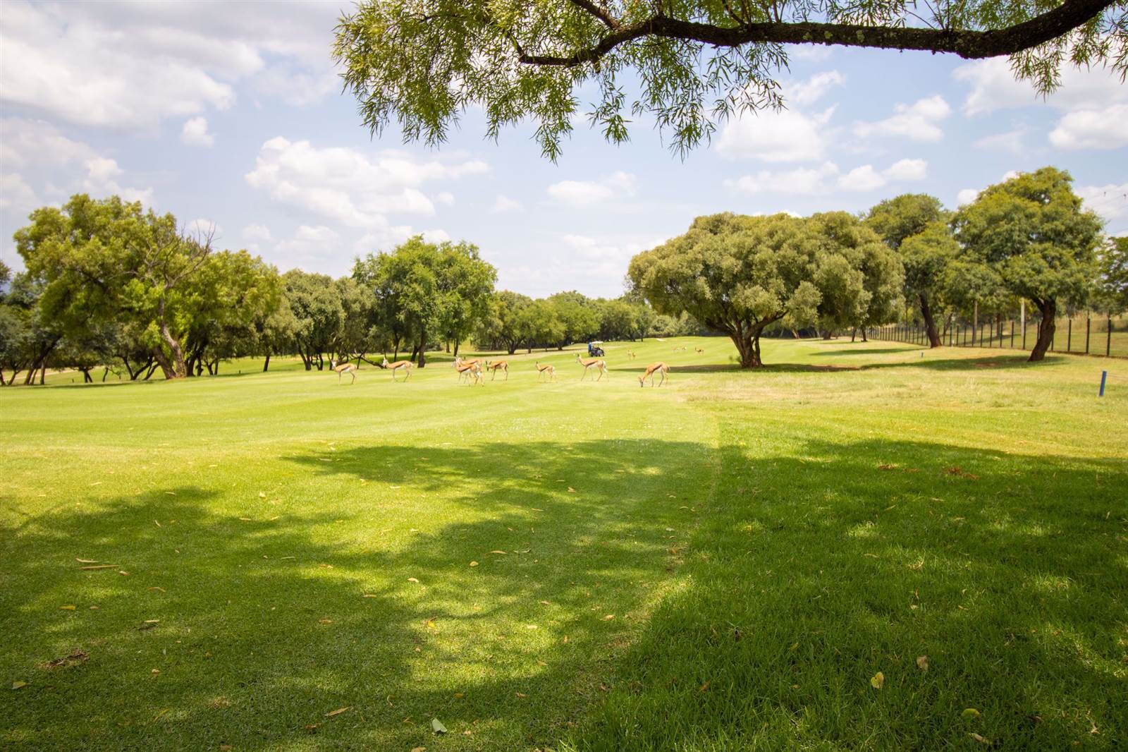 420 m² Land available in Magalies Golf Estate photo number 9