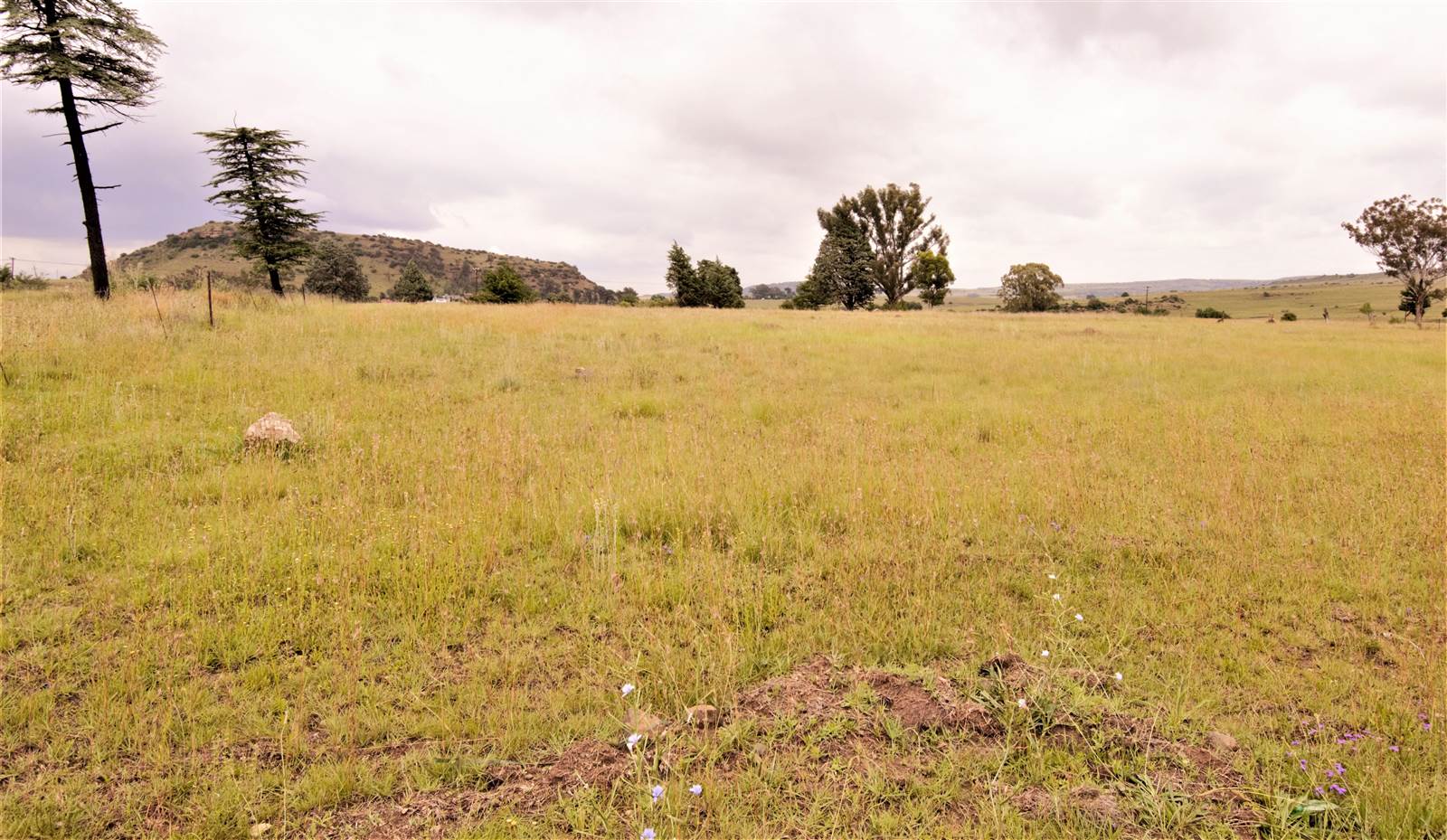 2320 m² Land available in Hobhouse photo number 1