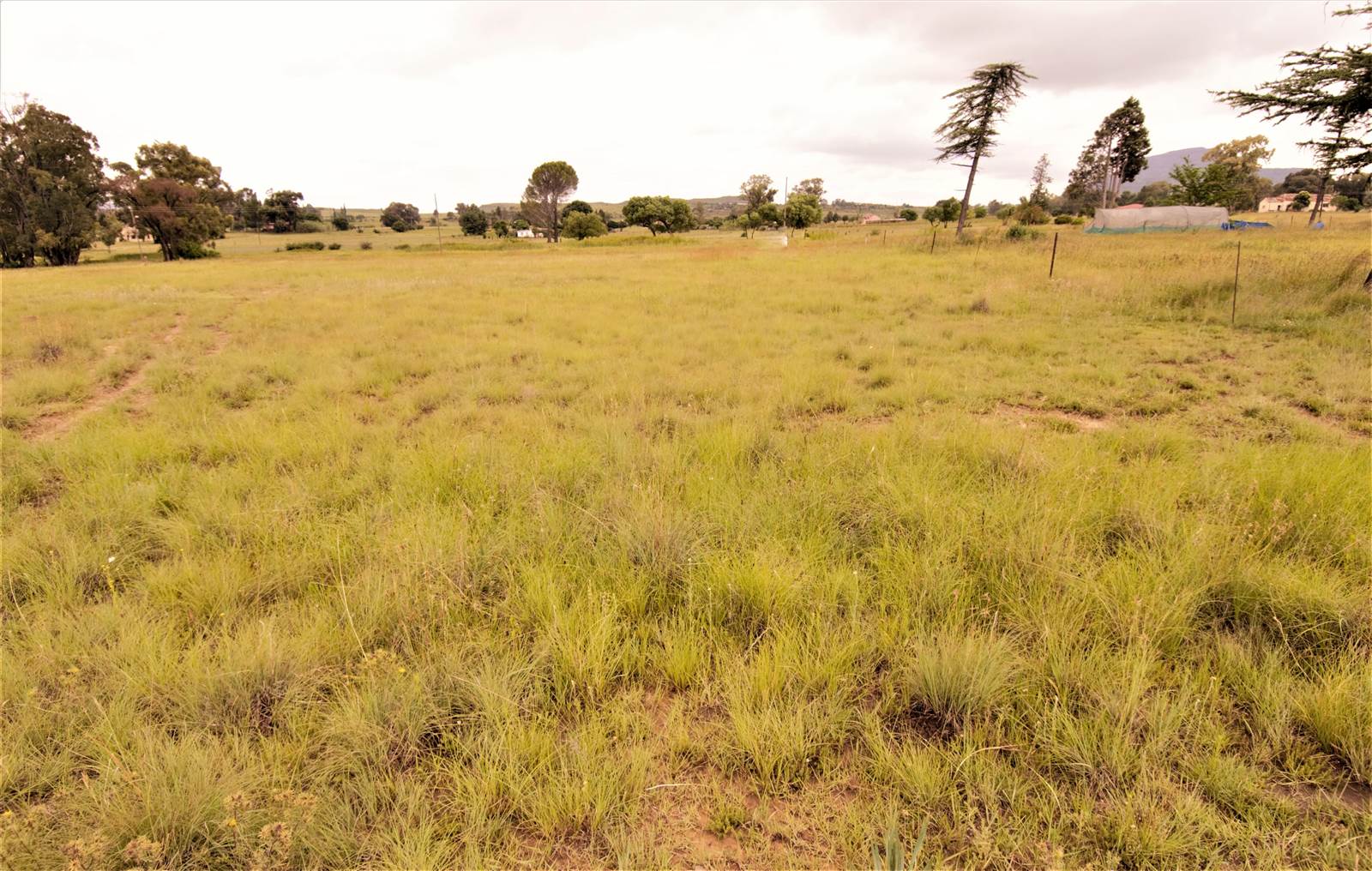 2320 m² Land available in Hobhouse photo number 2