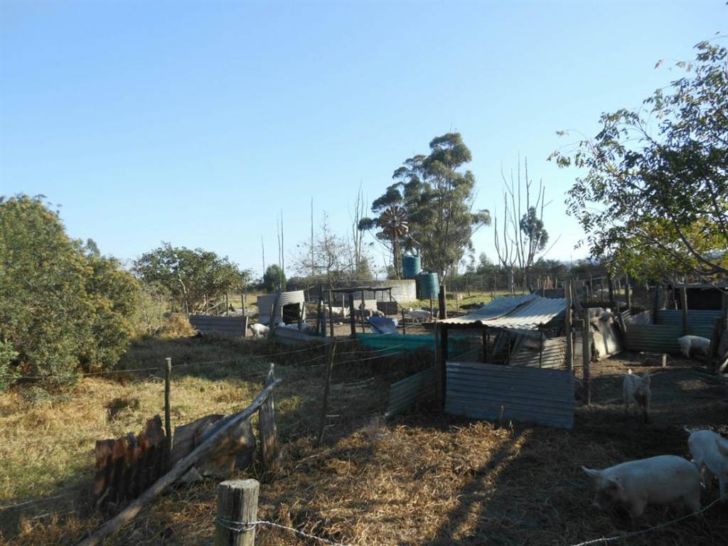 5.4 ha Farm in Grahamstown Central photo number 20