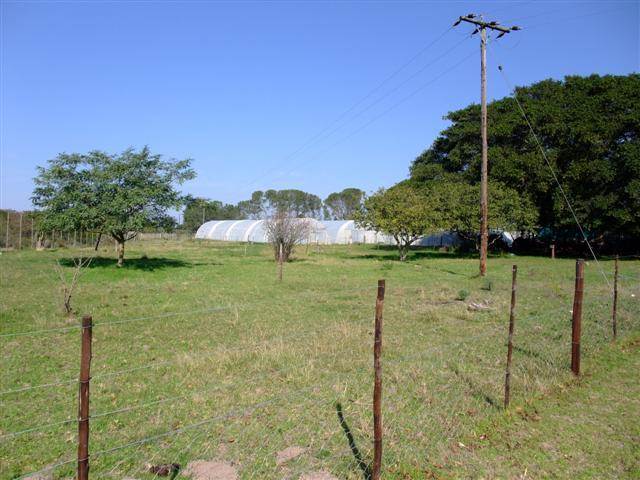 5.4 ha Farm in Grahamstown Central photo number 6