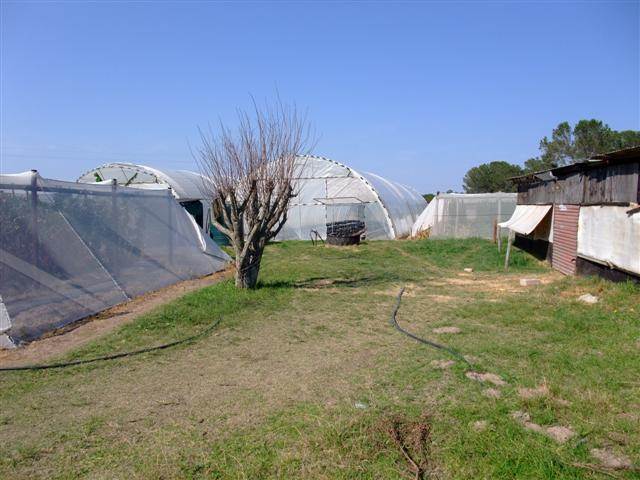 5.4 ha Farm in Grahamstown Central photo number 8
