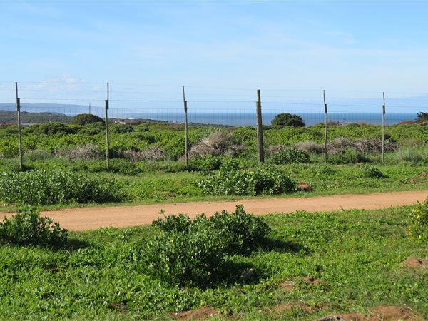 7000 m² Land available in Stilbaai