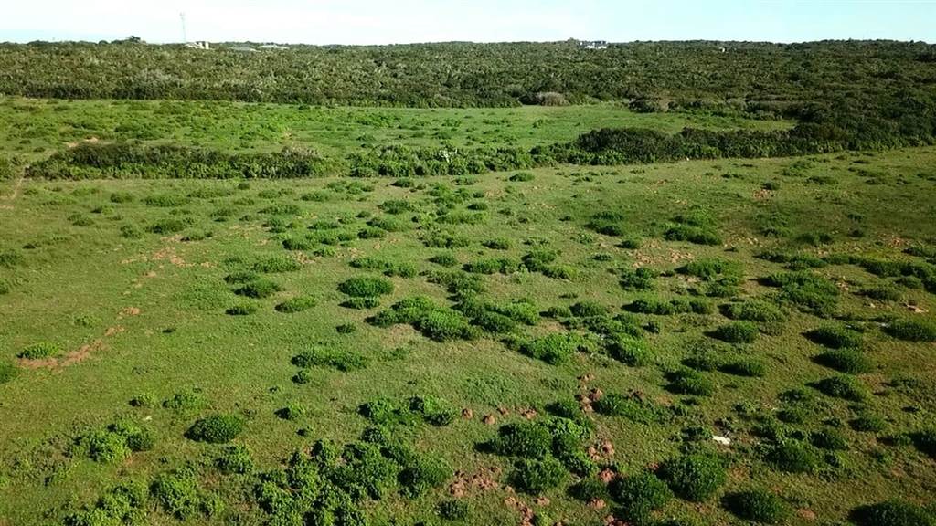 7000 m² Land available in Stilbaai photo number 8