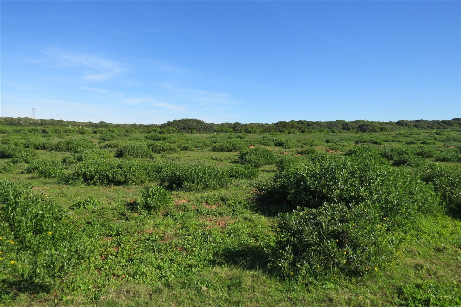 7000 m² Land available in Stilbaai photo number 4