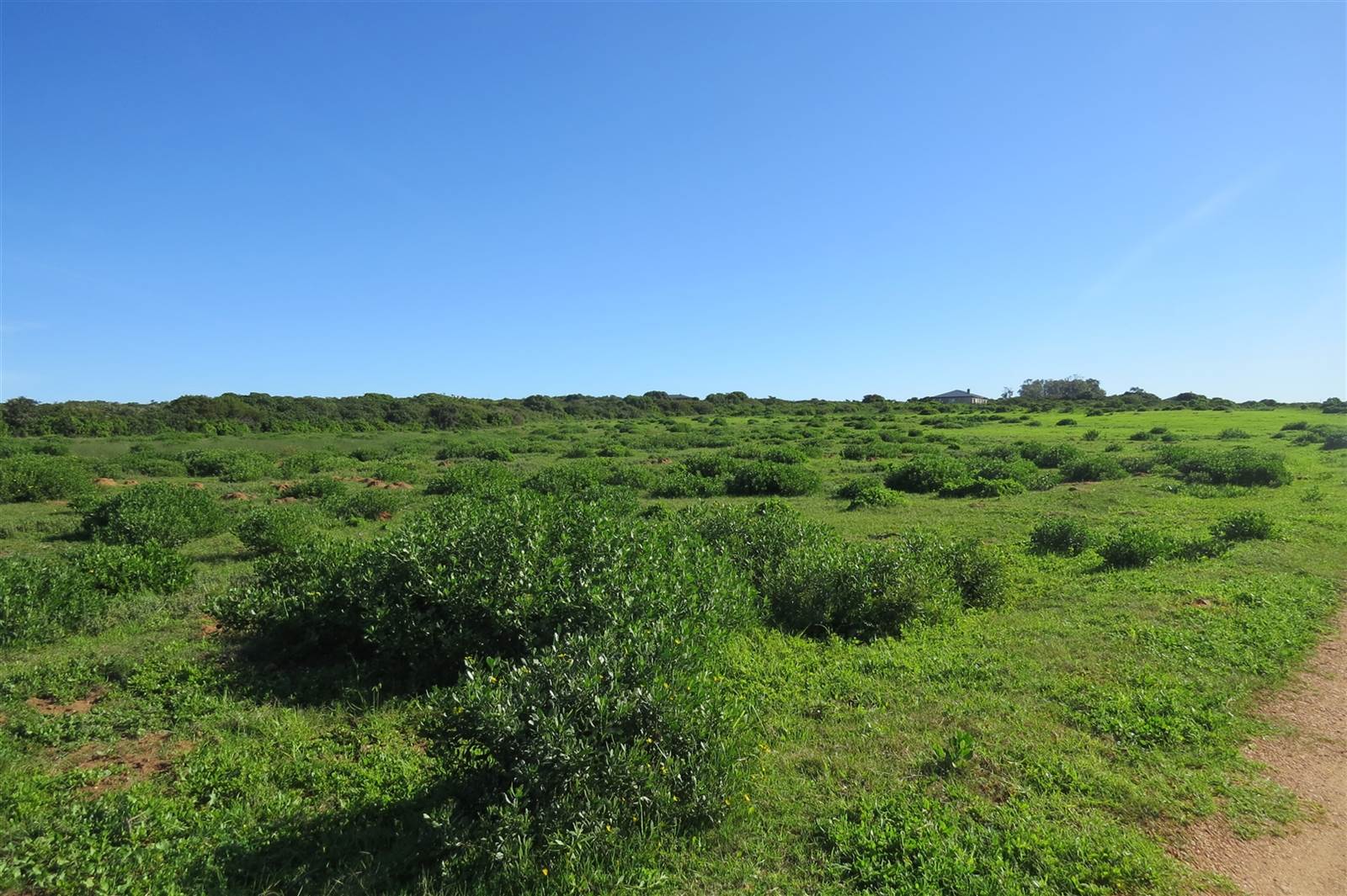 7000 m² Land available in Stilbaai photo number 5