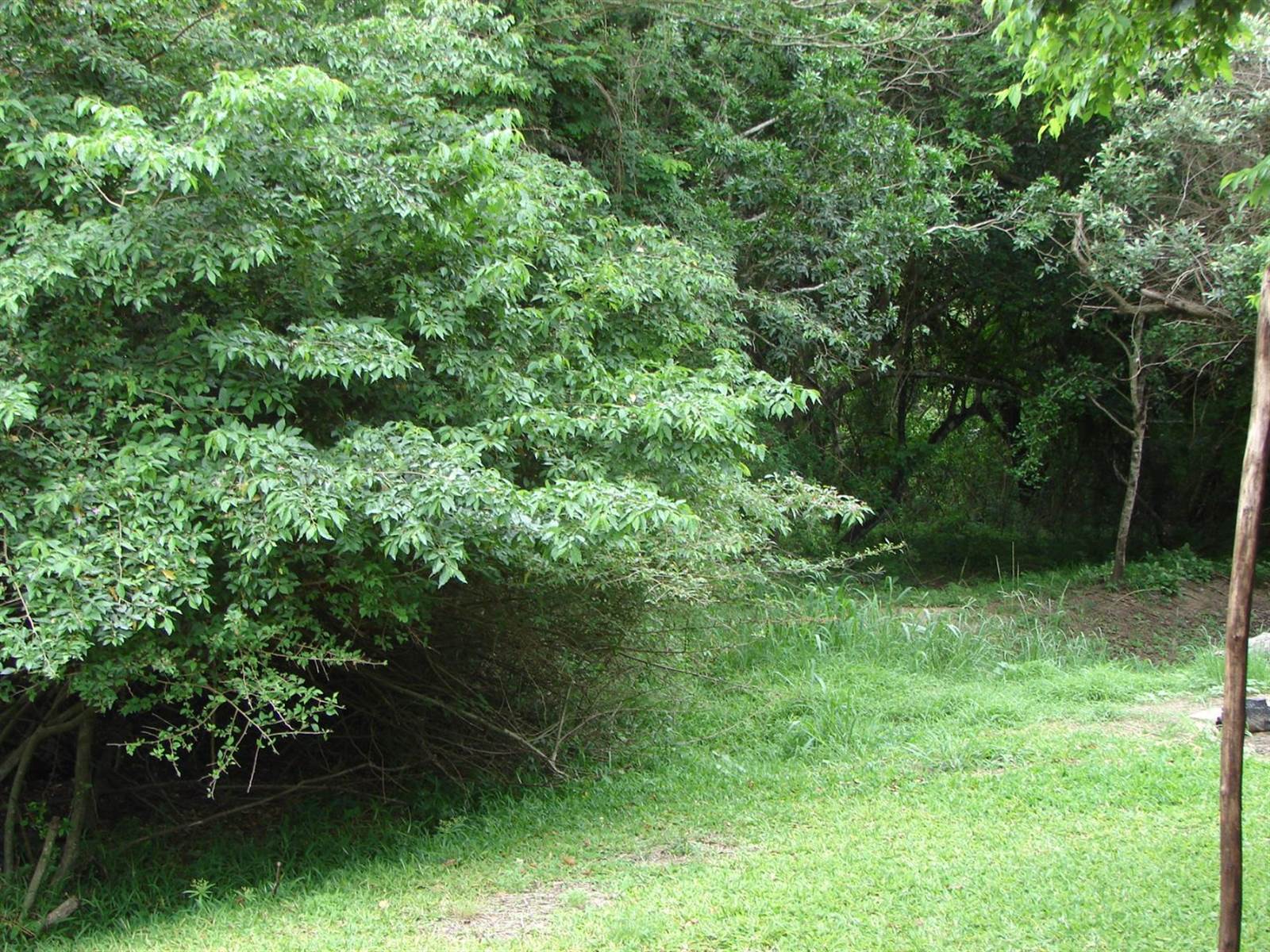 2 ha Land available in St Lucia photo number 8