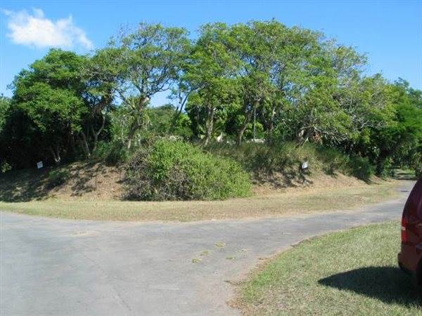 4125 m² Land available in Zinkwazi Beach photo number 9