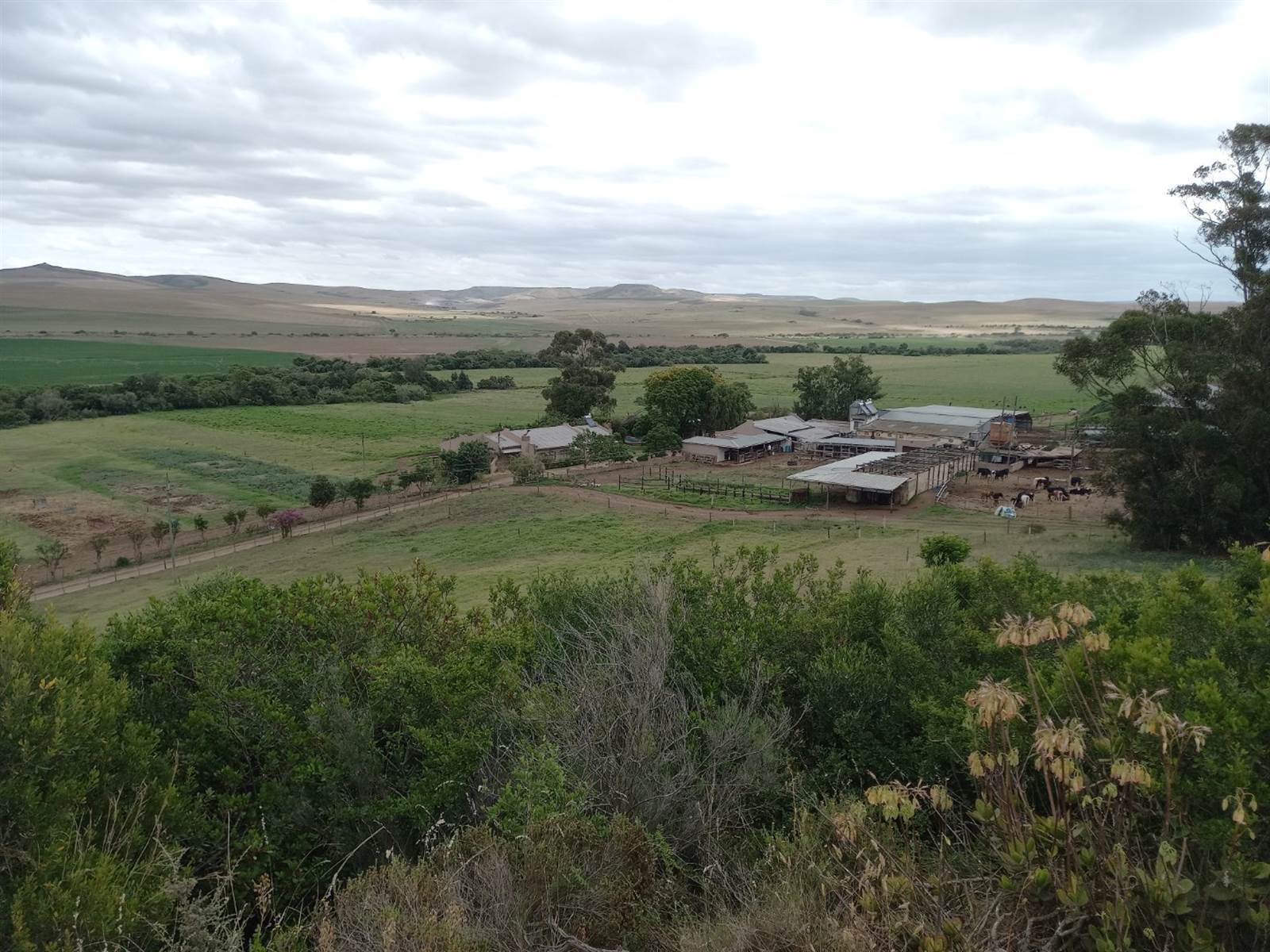 96 ha Farm in Riversdale photo number 1