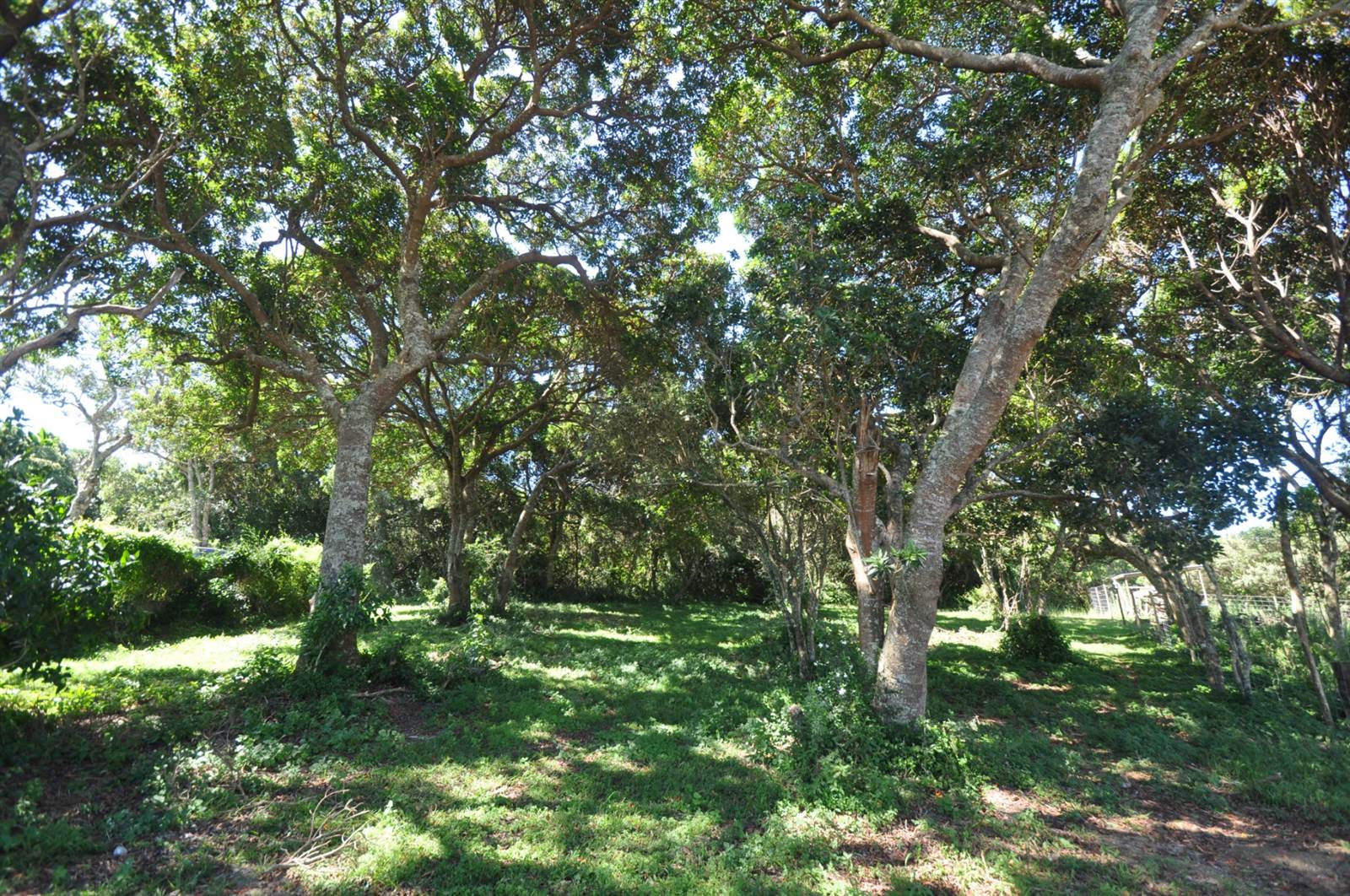 904 m² Land available in Cintsa photo number 8