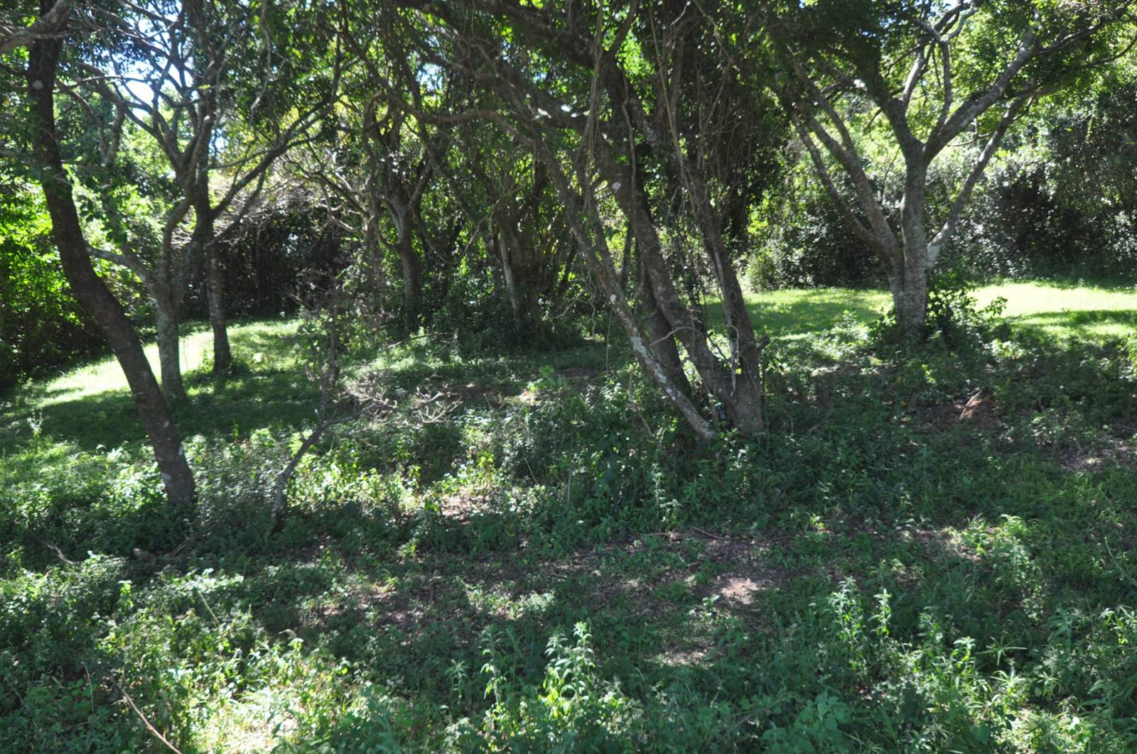 904 m² Land available in Cintsa photo number 3