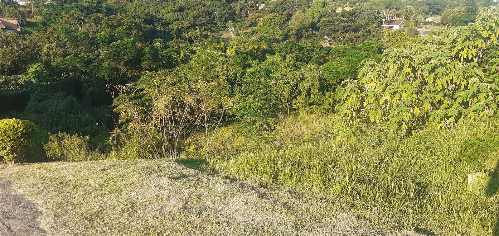 1365 m² Land available in Doon Heights photo number 3