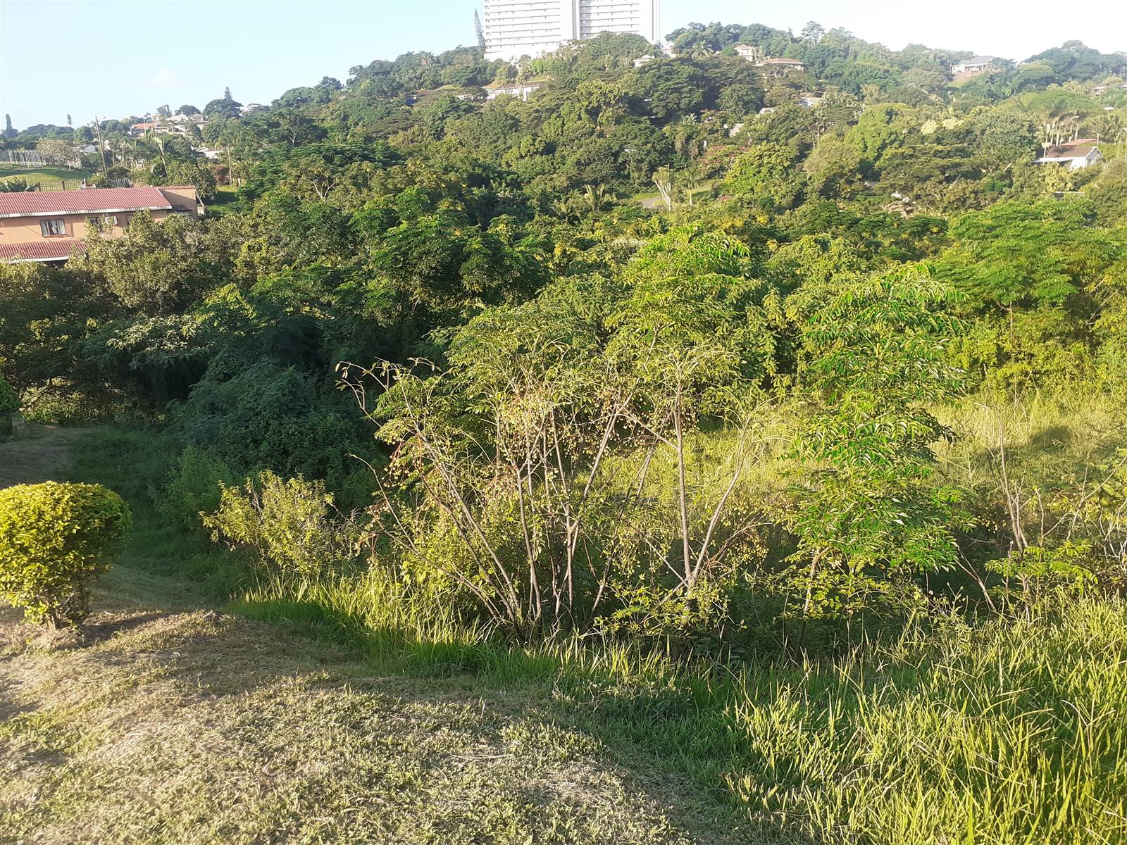 1365 m² Land available in Doon Heights photo number 4