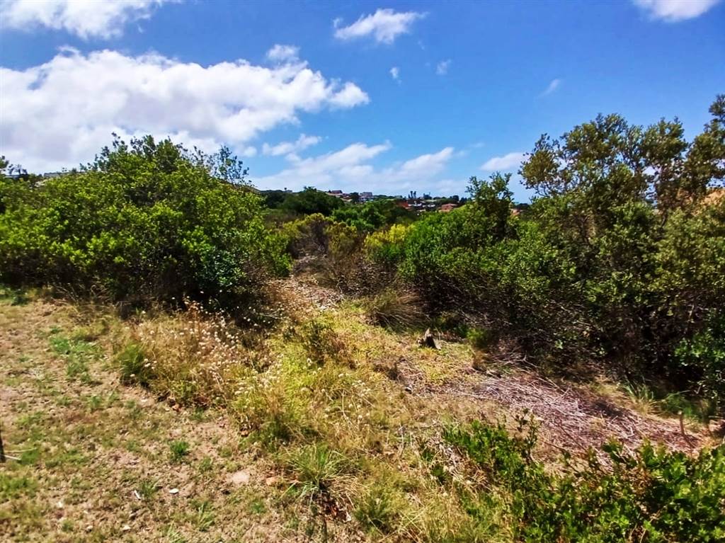 1286 m² Land available in Dana Bay photo number 3