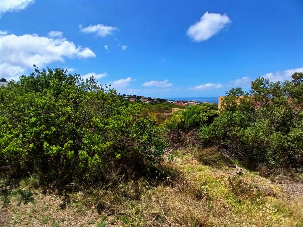 1286 m² Land available in Dana Bay photo number 1
