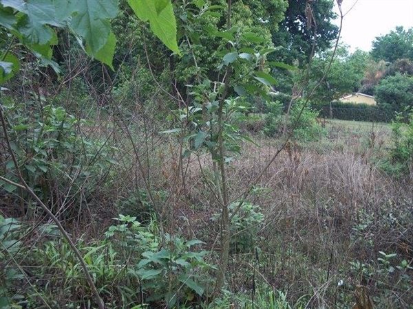 750 m² Land available in Sabie