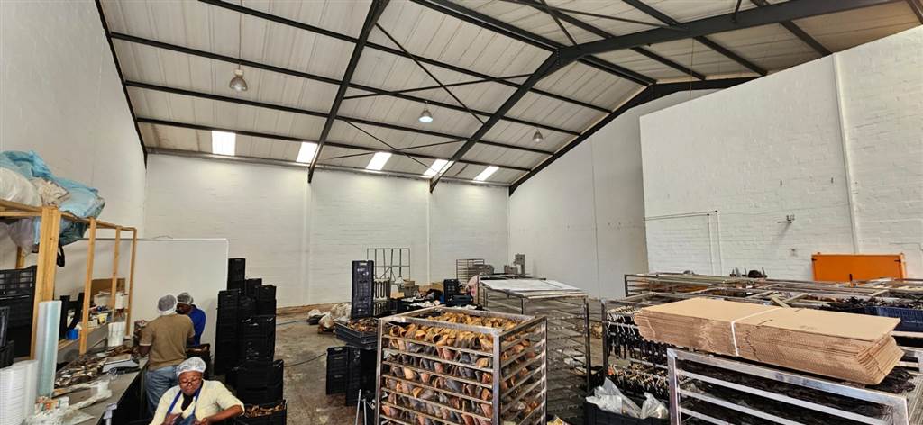 300  m² Industrial space in Killarney Gardens photo number 14