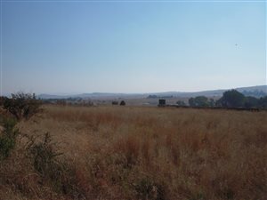 1.1 ha Land available in Doornrandje