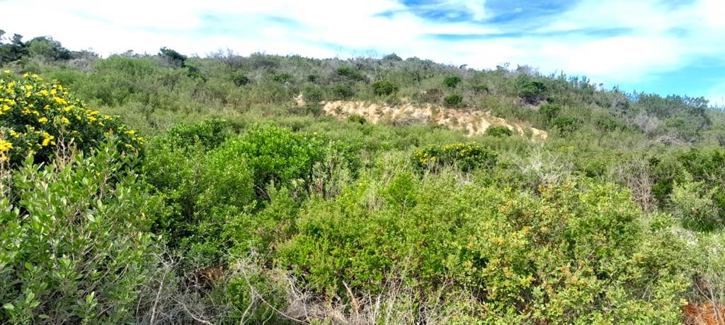 16.6 ha Land available in Mossel Bay Central photo number 4