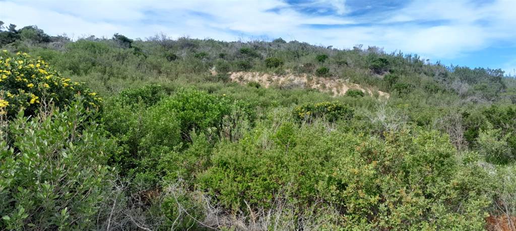 16.6 ha Land available in Mossel Bay Central photo number 7