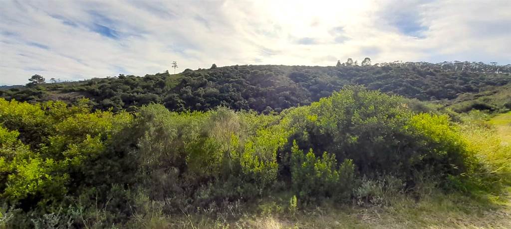 16.6 ha Land available in Mossel Bay Central photo number 5