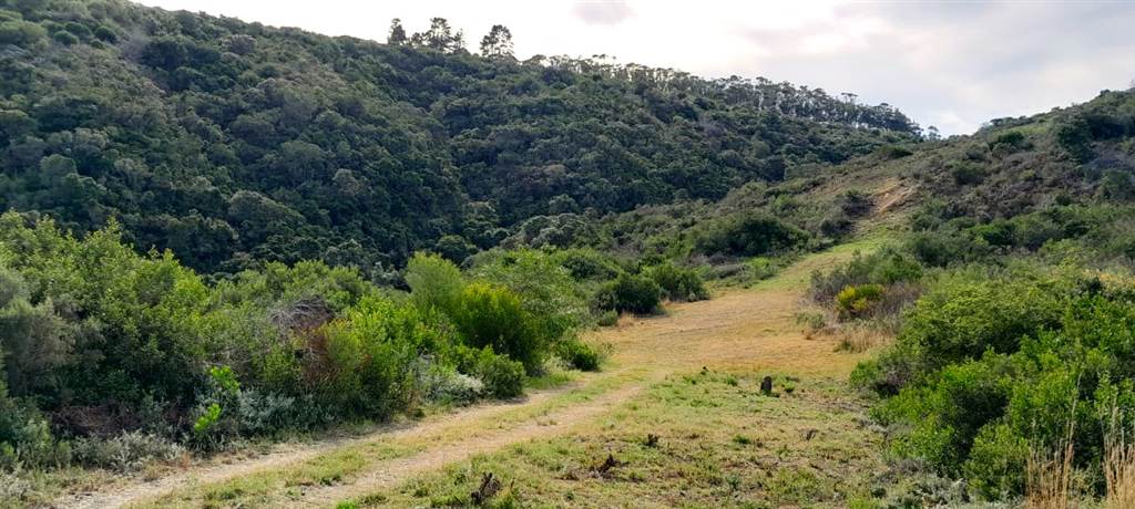 16.6 ha Land available in Mossel Bay Central photo number 3
