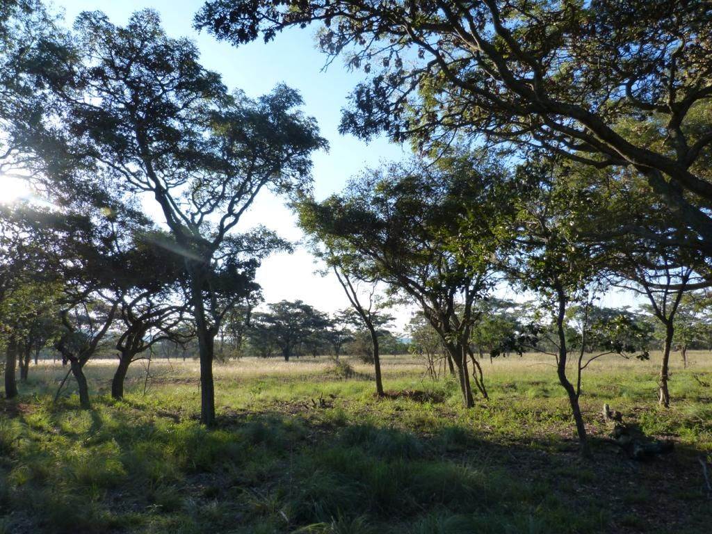 2.5 ha Land available in Modimole (Nylstroom) photo number 8