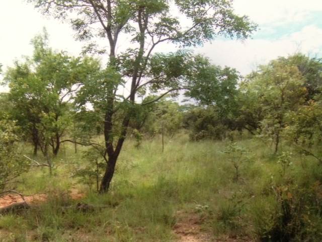 2.5 ha Land available in Modimole (Nylstroom) photo number 4