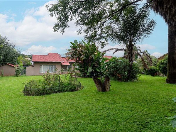 3 Bedroom House 3 Bedroom House
