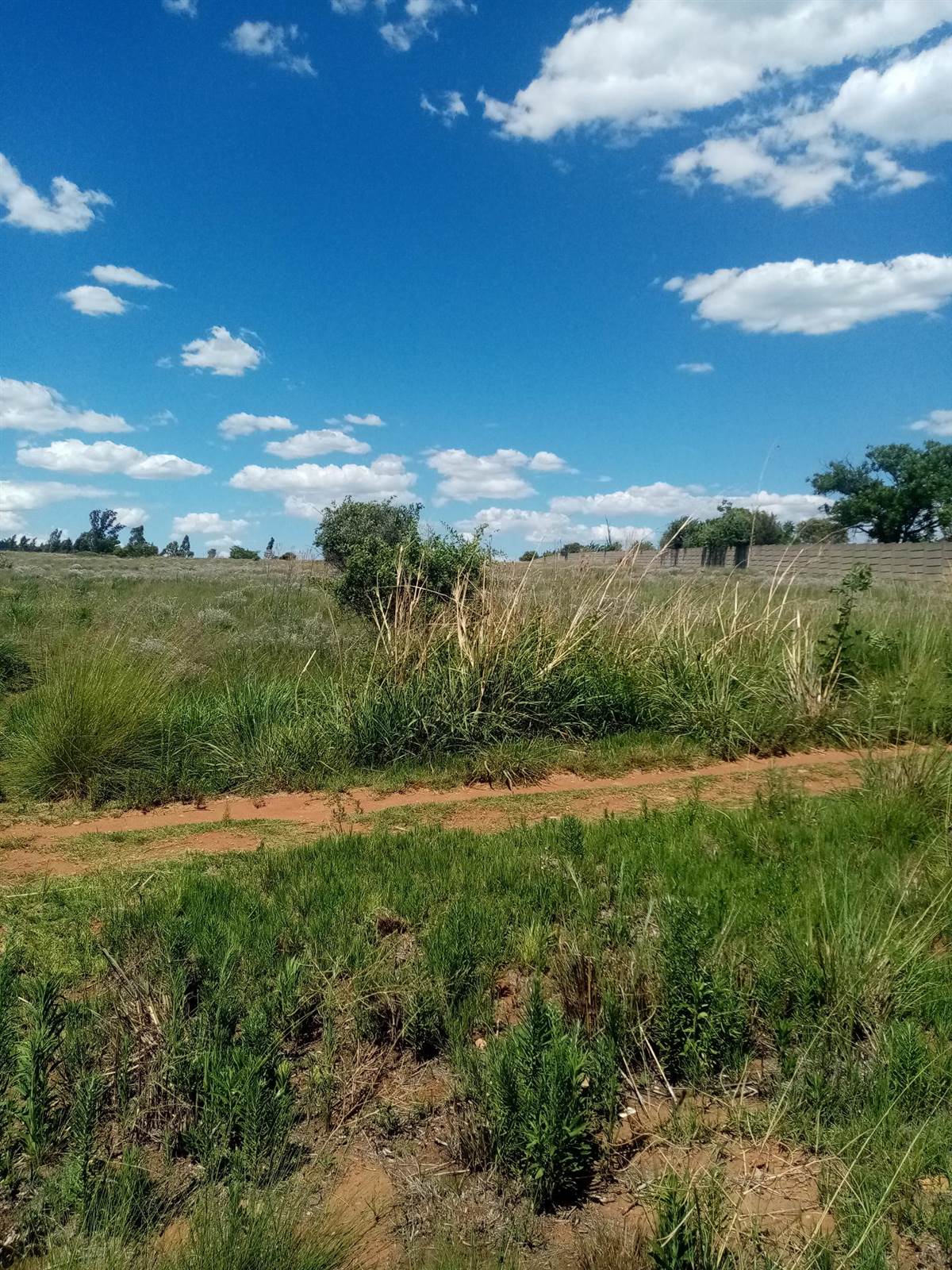 8.3 ha Land available in Muldersdrift photo number 9