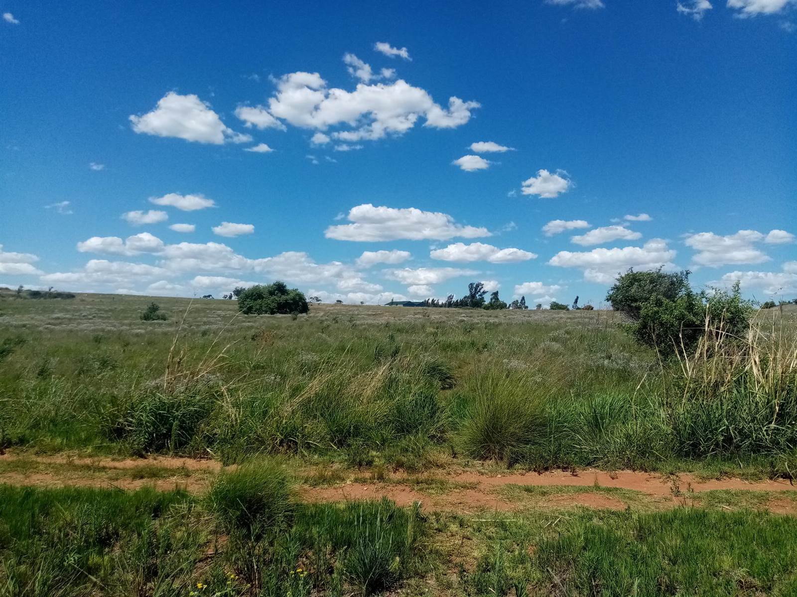 8.3 ha Land available in Muldersdrift photo number 3