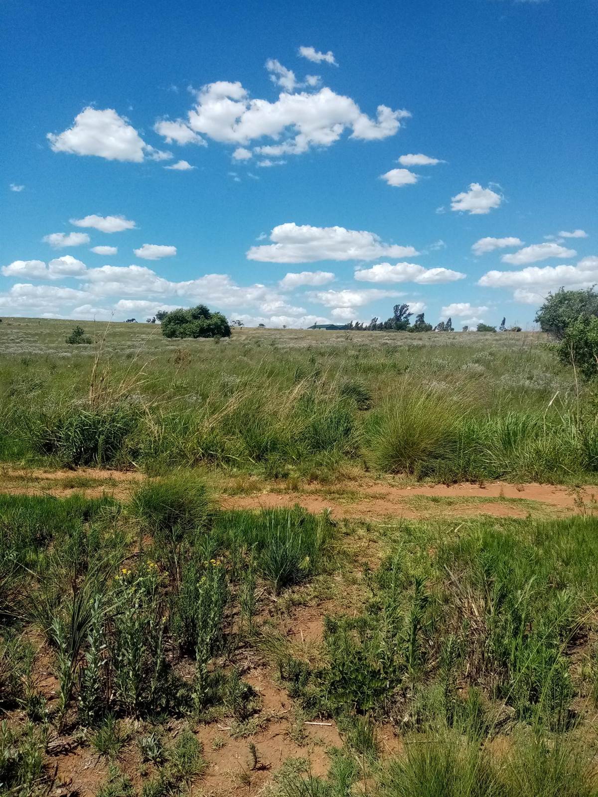 8.3 ha Land available in Muldersdrift photo number 8