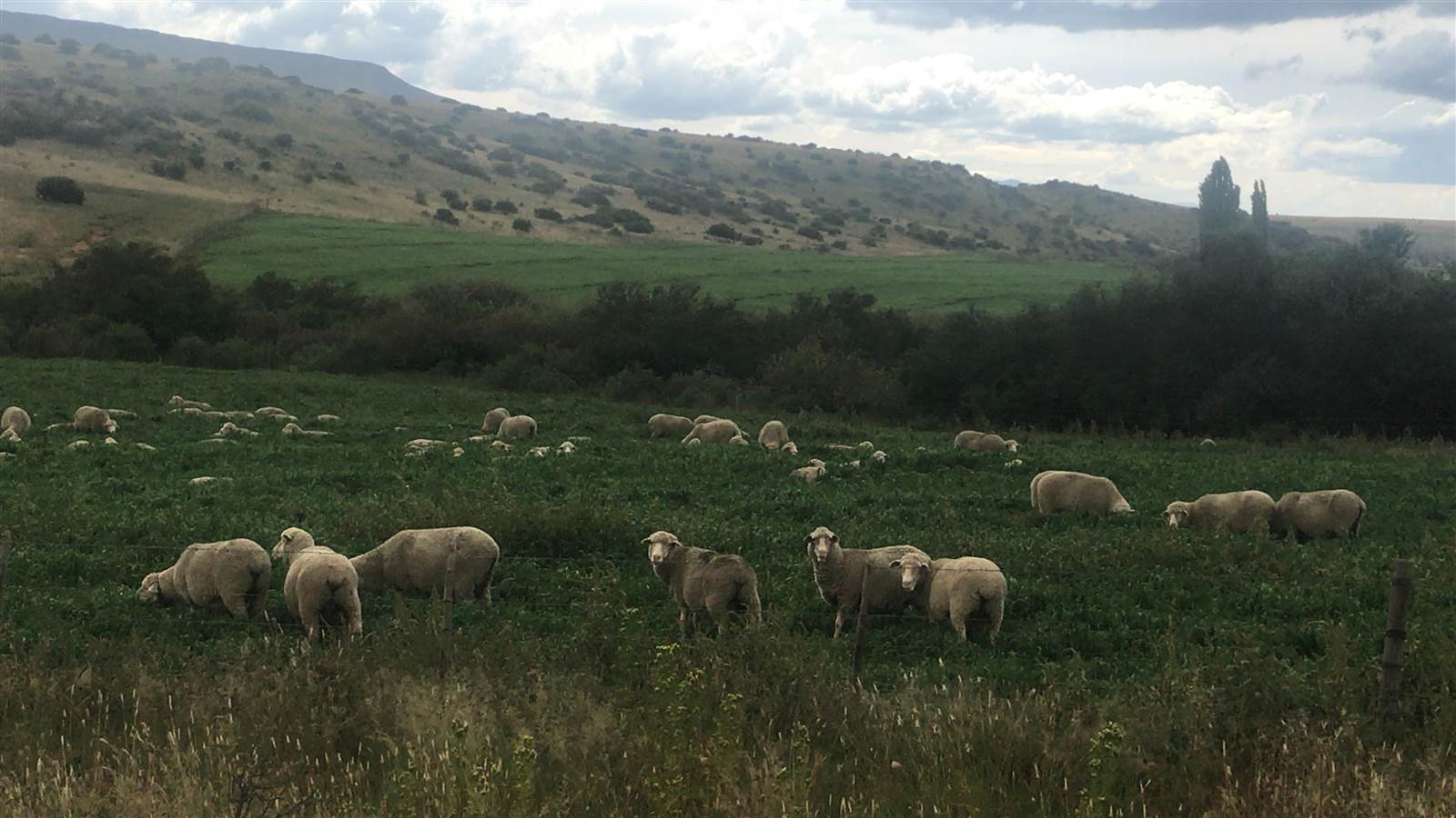 Farm in Cradock photo number 8