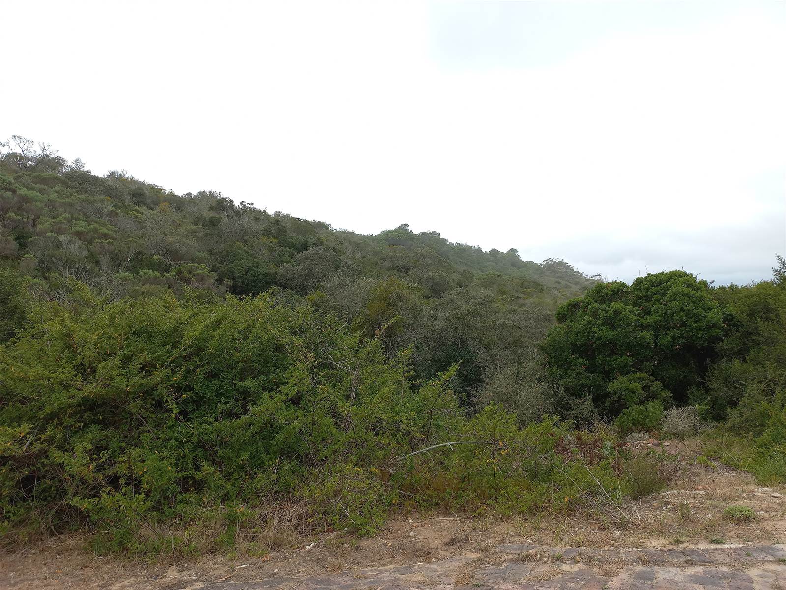 1090 m² Land available in Cola Beach photo number 5