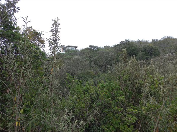 1090 m² Land available in Cola Beach