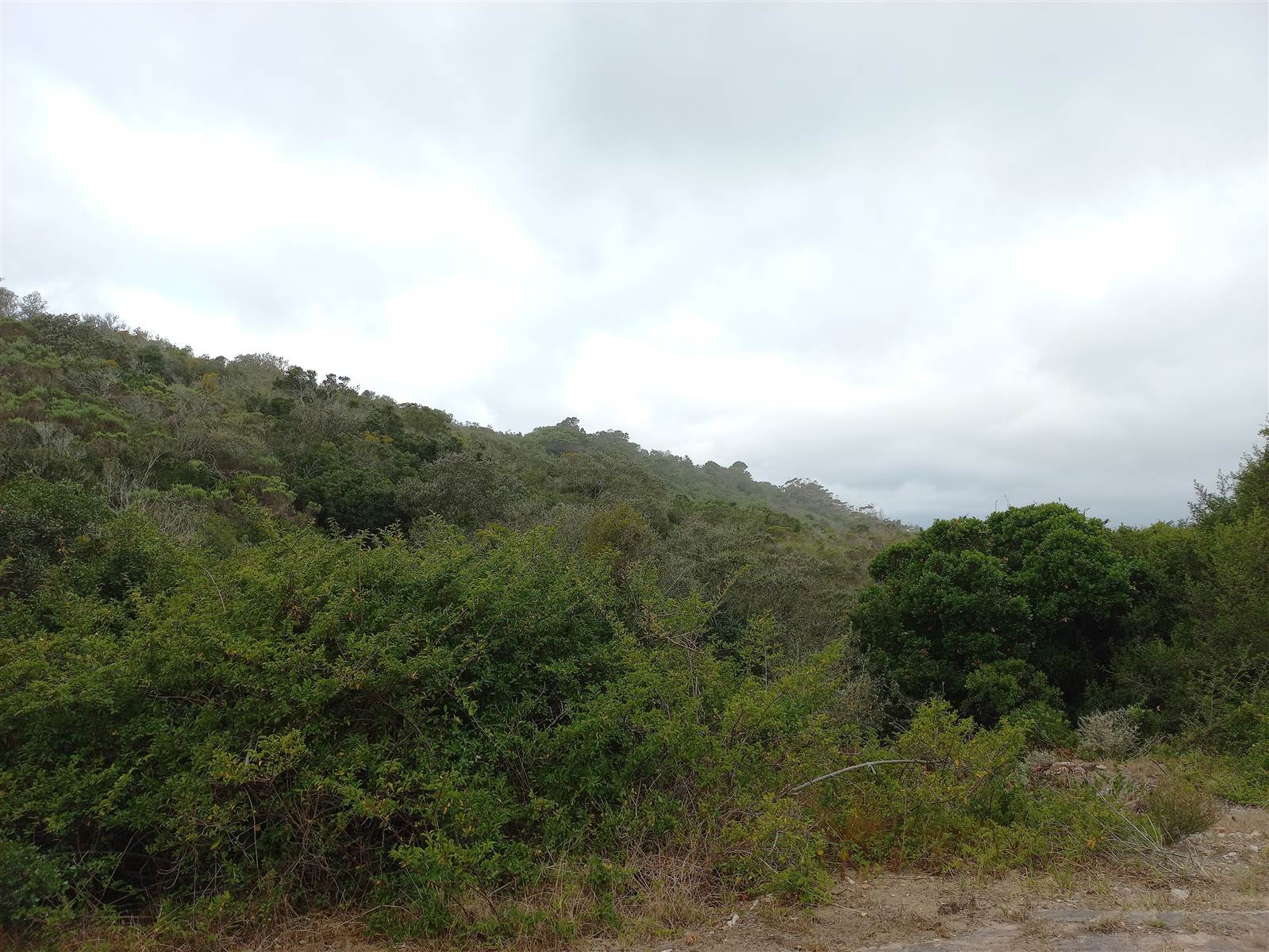 1090 m² Land available in Cola Beach photo number 9