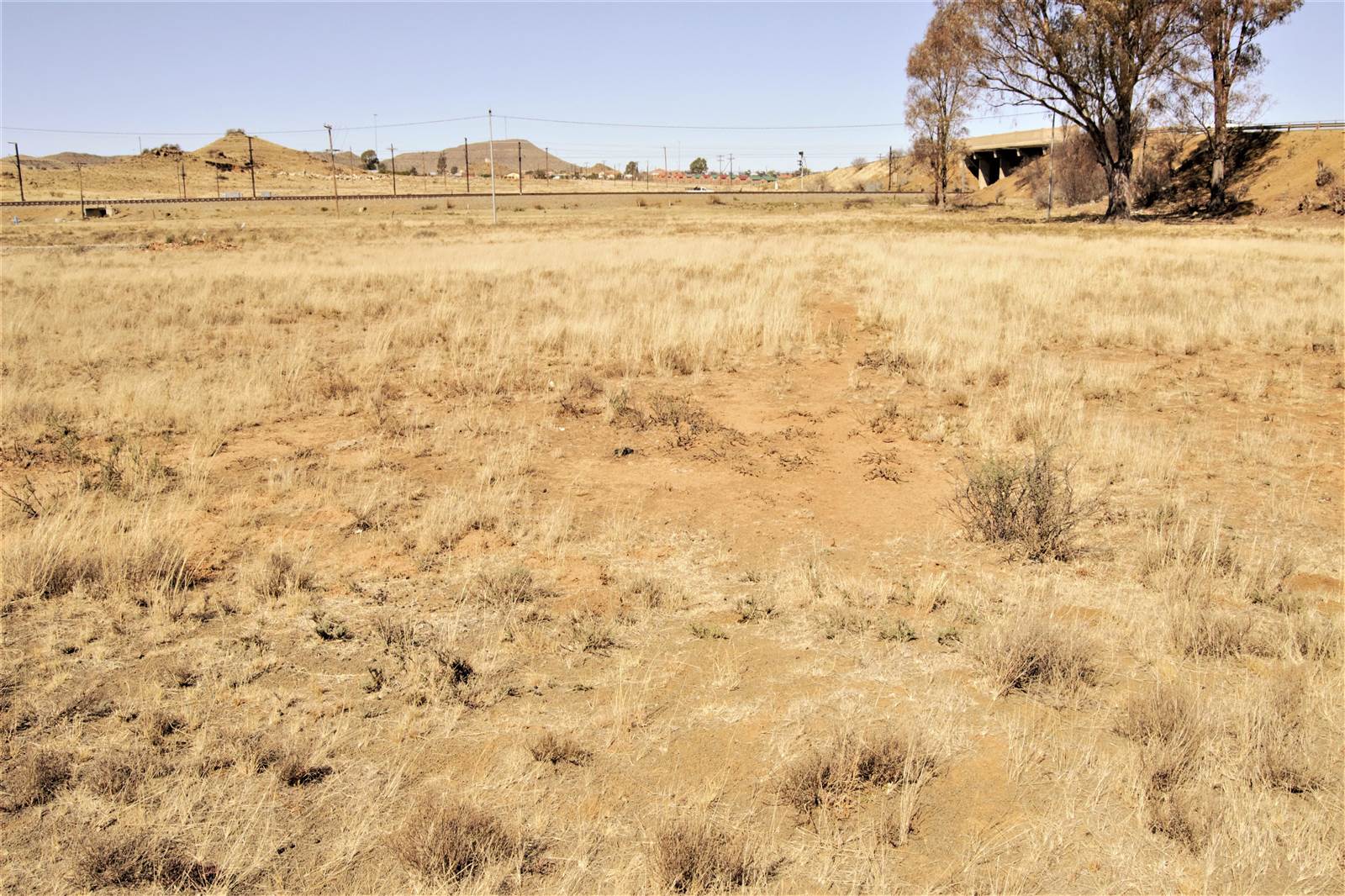 706 m² Land available in Springfontein photo number 4
