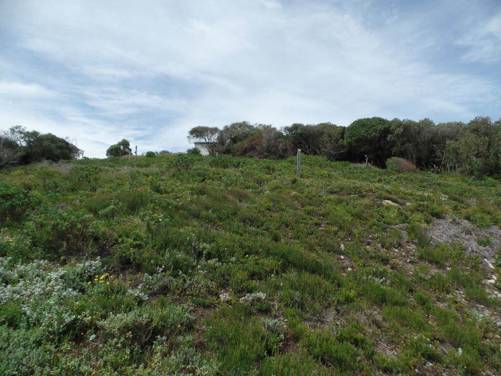 680 m² Land available in Humansdorp photo number 6
