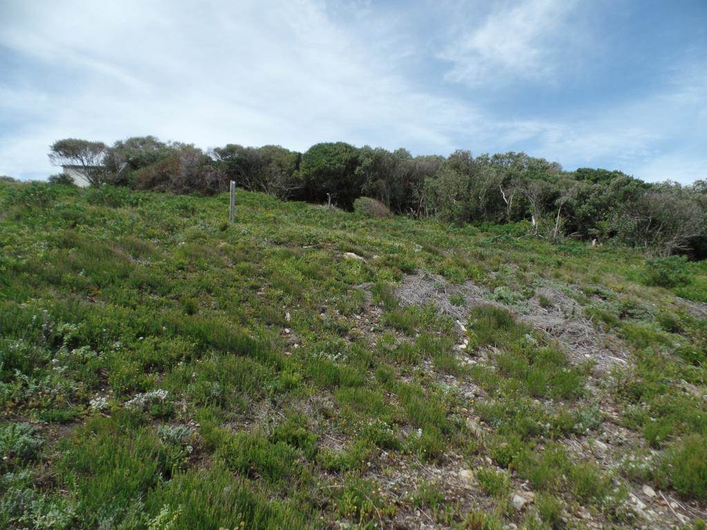 680 m² Land available in Humansdorp photo number 2