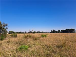 4 ha Farm in De Deur