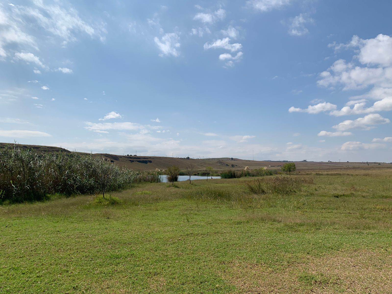 328 ha Farm in Witbank Central photo number 6