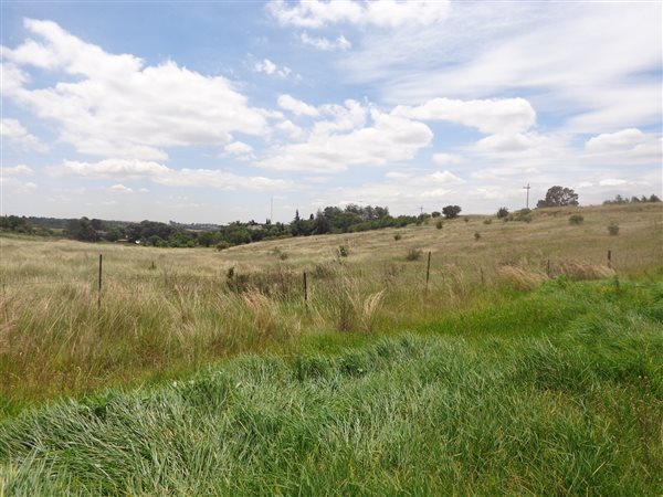 4.2 ha Land 4.2 ha Land